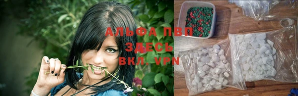 молекула духа Богданович