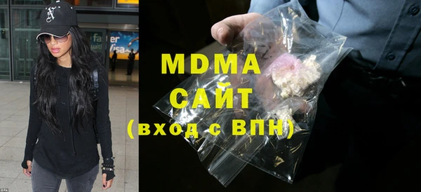 молекула духа Богданович
