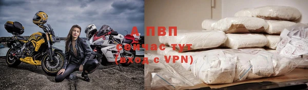 стафф Бородино