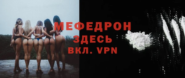 молекула духа Богданович