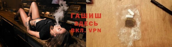 молекула духа Богданович