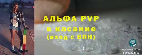 молекула духа Богданович