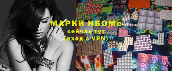молекула духа Богданович