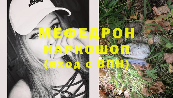 молекула духа Богданович