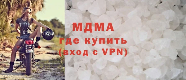 молекула духа Богданович