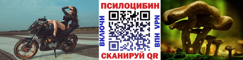 Галлюциногенные грибы GOLDEN TEACHER Карпинск