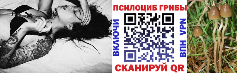 Псилоцибиновые грибы мухоморы  где можно купить наркотик  Карпинск 
